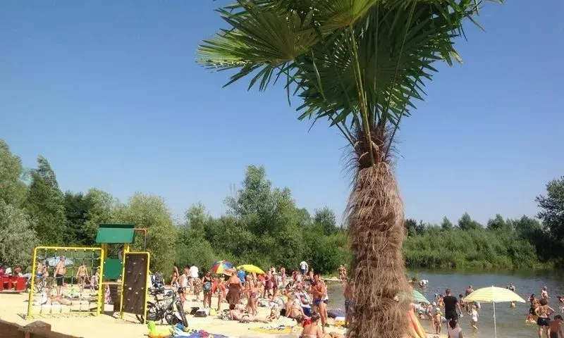 Rzeszów z dzieckiem: Od bajek po piwnice niezapomniane chwile